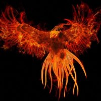 Firebird