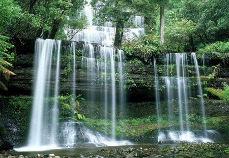 beautiful cascading waterfalls - trees, cliff, cascade, waterfalls, pool