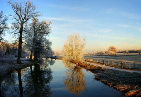 still river in winter - winter, road, reflection, river, house, still, trees