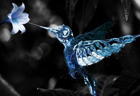 Robot Hummingbird - robot, blue, flower, hummingbird