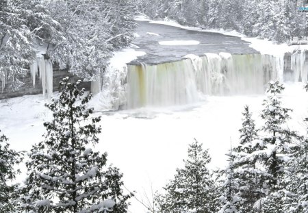 Tahquamenon Falls - Tahquamenon Falls, trees, winter, water, nature, waterfall, season, snow