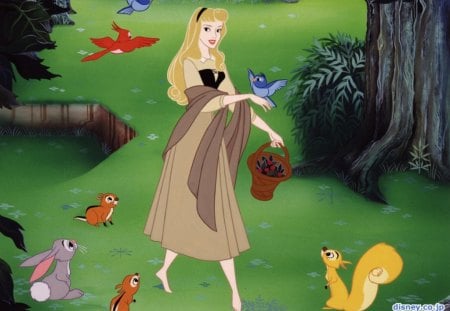 ~Brair Rose In The Forest~ - forest, aurora, animated, briar rose, classic, movie, princess, fairy tale, disney, animals