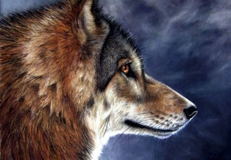 Lone Wolf - predator, painting, artwork, portrait, face