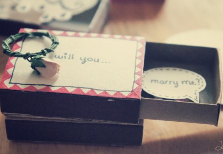 Will You Marry Me?