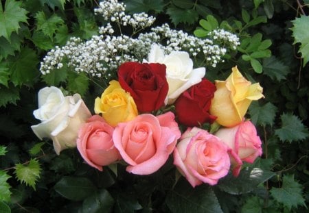 Roses Bouquet Wallpapers - roses bouquets wallpapers, wallpaper, roses, roses bouquets