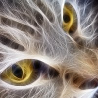 Fractal Cat Face (Wallpaper Version)