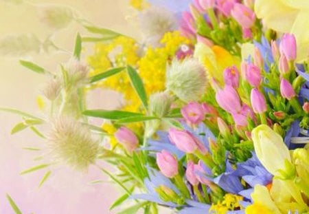 Forever Spring - tulips, daffodils, bouquet, clover, spring, yellow, garden, fresh, soft, summer, gold, fragrant, warm, pink, blue, pastel, flowers