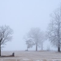 foggy winter day