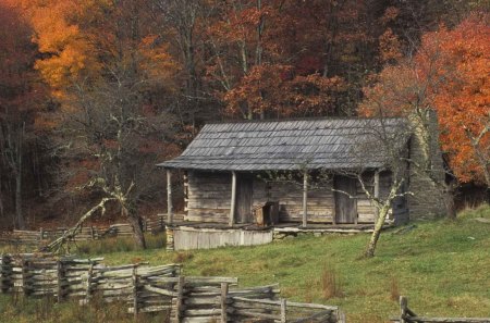 wooden cabin in an autumn forest - cabin, autumn, wood, forest, fence, mountain