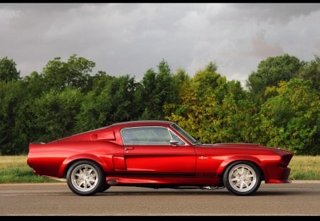 shelby gt500 - shelby, ford, car, gt500