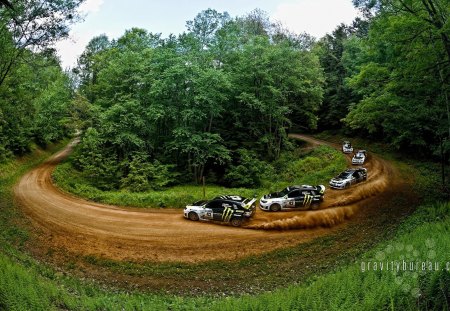 race at a critical moment - race, tree, car, road