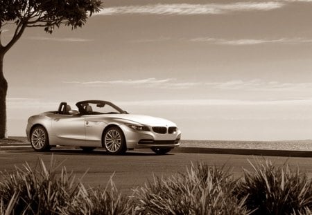 BMW Z4 - sepia, cars, car, beautiful