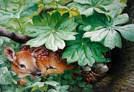 Well hidden - hidden, colorful, plants, deer, young, amazing, forest, pretty, beautiful, animal, green, colors, bambi