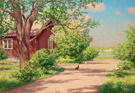 Farm - nature, farm, sun, tree, house