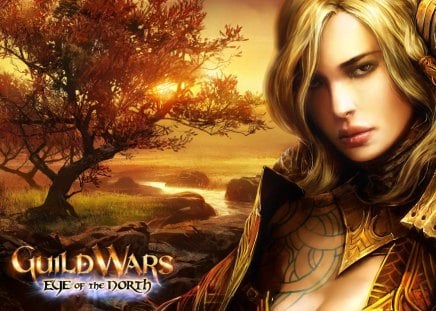 Eye of the North - brown eyes, female, blonde hair, tree, armor, sunset, guild wars, games, video games