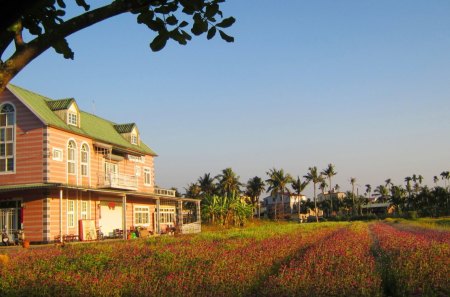 Rural scenery - scenery, flowers, house, tree, rural