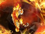 hd fire tiger