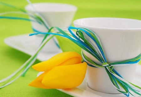 Yellow Tulip - yellow, decor, tulip, still life, cup