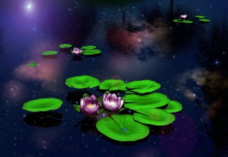 Pond flowers - nice, beauty, delicate, water, colorful, calm, quiet, pretty, pond, lilies, lake, lovely, serenity, tranquility, lotus, beautiful, leaves, flowers