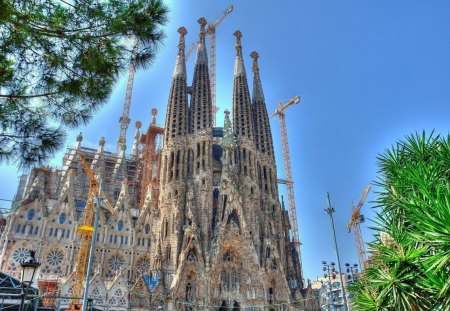 gaudi's sagrada familia in barcelona hdr - construction, cathedral, hdr, trees