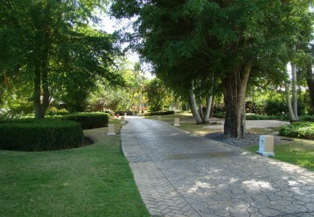 another beautiful walkway - beauty, nature, sky, trees, walkway, greenery, leaves