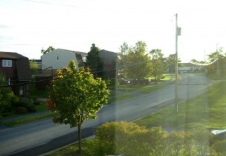 Evening sunset in neighbourhood - neighbourhood, sky, street, houses, leaves, trees, sun, grass