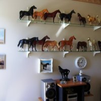 Horse models