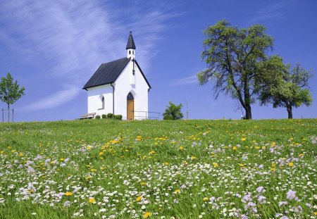 tiny bavarian chapel on a hill - hill, flowers, trees, chapel, sky