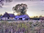 farmscape in purple hdr