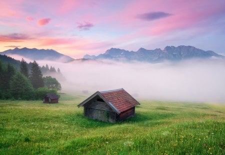 Alps Meadow Germany - clouds, trees, alps, fog, fields, beautiful, germany, nature, green, mountains, cottage, sky