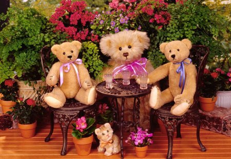 Garden Party - drinks, chairs, bows, table, teddies, cat, flowers, kitten, teddy bears, garden, teddy, plants, ribbons, kitty