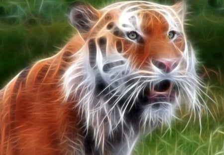 3d tiger - tiger, animals, 3d, wild