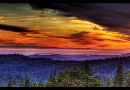 awesome forest in sunset hdr - forest, hills, clouds, sunset, hdr