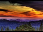 awesome forest in sunset hdr