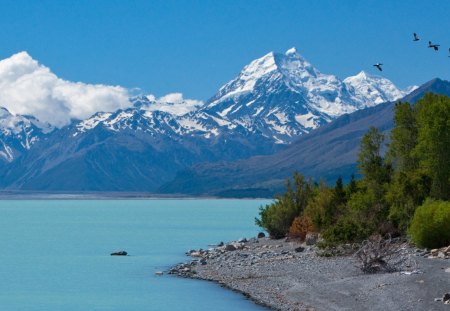 geese flying by majestic mountains - geese, clouds, shore, mountains, bay