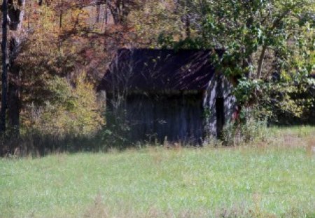 Smoke House In The Field - fields, building, autumn, house