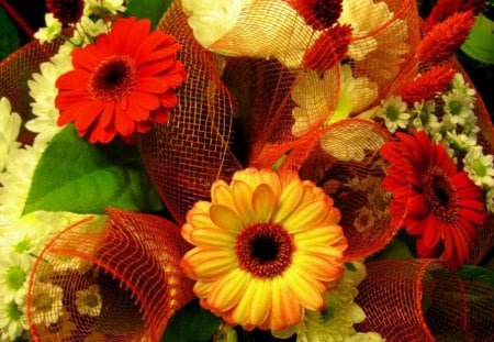 Gerbera - bouquet, flower, bunch, gerbera