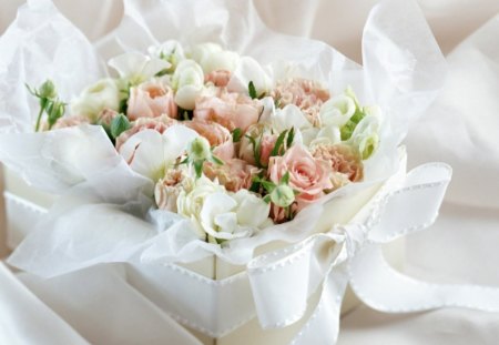 Rose buds - buds, gift, box, rose, flower