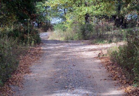 Looking Up Hill - autumn, country life, rural, road