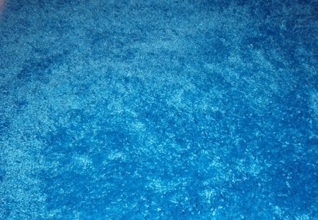 Blue - pretty, shag pile rug, blue, photography, Olympus, compact digital camera, soft, texture, Ikea