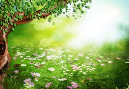 âœ°..FIELD OF FLOWERS..âœ° - mushrooms, sky, trees, stock images, sunbeam, colorful, fantasy, wood, cool, green, grasses, fields, magnificent, forests, bgv06, atmosphere, lovely, resources, nature, bright, premade, rays of light, backgrounds, beautiful, splendor, colors, flowers, natural