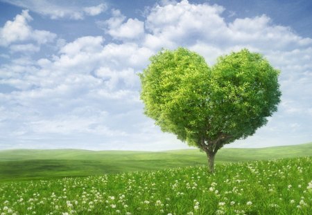 Green valentines tree - love, nature, valentines, heart, romance, grass