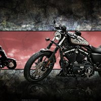 Harley-Davidson XL883N Iron