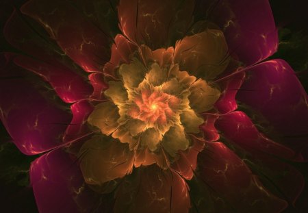 Flower background - flower, paterns, background, abstract, art