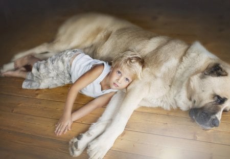 Boy and dog - face, pretty, playful dog, cute, animals, beauty, beautiful, sweet, puppy, bubbles, playful, dogs, puppies, pay, lovely, dog face