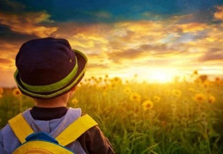 The Awe of Sunset to a Child - child, field, sunset, nature, wonder