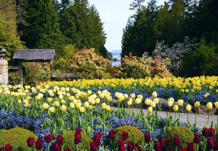 Spring in the Park - hyacinths, tulips, path, trees