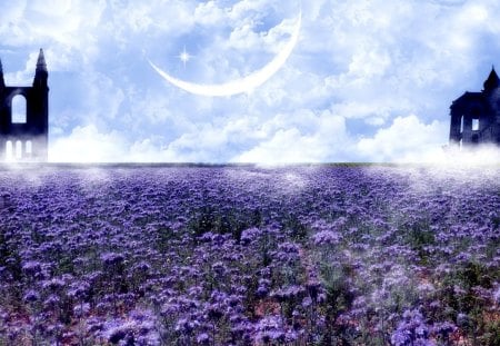 ✰.FIELD OF FREEDOM.✰ - pretty, splendor, crescent moon, Ashensorrow, flowers, premade, magnificent, splendid, sky, clouds, house, moon, fields, beautiful, backgrounds, colors, lovely, cool, colorful, resources, nature, stock images, places, cute