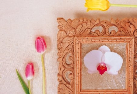 Flower frame - style, orchid, tulips, decor, frame, flower