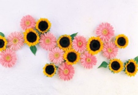 Flowers - style, sunflowers, gerbera, mix, flowers